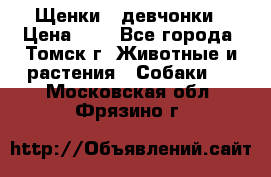 Щенки - девчонки › Цена ­ 2 - Все города, Томск г. Животные и растения » Собаки   . Московская обл.,Фрязино г.